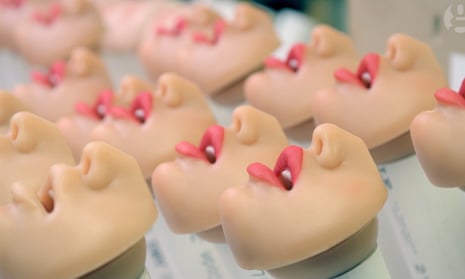 Anyone for robotic rumpy pumpy? | Victoria Coren Mitchell | The Guardian Anyone for robotic rumpy pumpy? | Victoria Coren Mitchell | The Guardian
