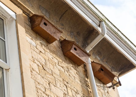Swift nest boxes are cheap and relatively easy to install.