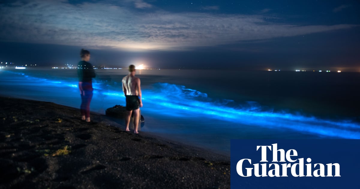 ‘Aurora of the sea’: luminous plankton light up New Zealand shores