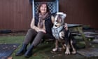 Animal refuges in Britain are 'full to bursting' as owners give up pets in cash crisis