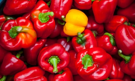 Red pepper day: do peppers have genders? 