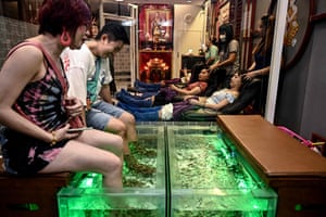 Customers have a fish pedicure as others have a massage in Chinatown