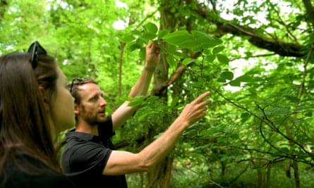 Joe Middleton - Avoncliff Wood Credit Natural History Consortium