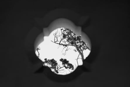 A black and white barbed quatrefoil wall window opening with view of pine tree branches