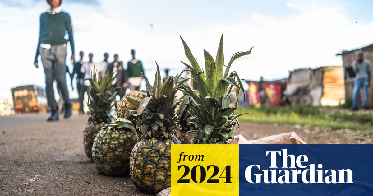 www.theguardian.com