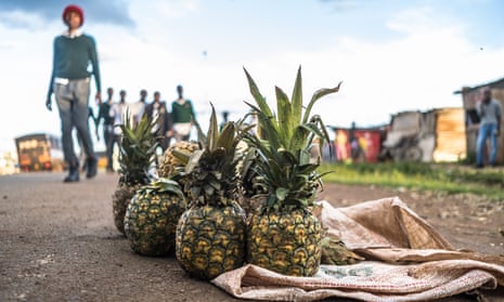 Stolen pineapples being sold by the roadside in Murang'a county, Kenya.