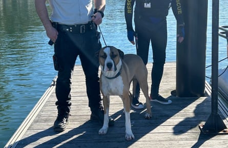 Marine Rescue volunteers with the dog who is believed to be called Oscar.