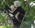 Wildlife Photographers Capture Global Animal Moments