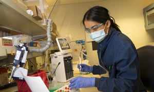 A scientist runs a clinical test at the University of Washington looking for antibodies against coronavirus.
