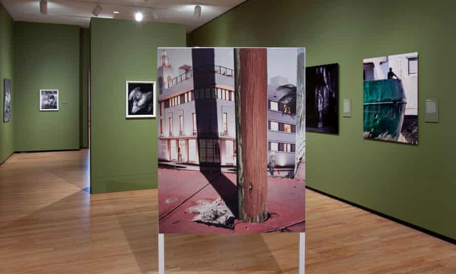 FloodZone: Photographs by Anastasia Samoylova installation image