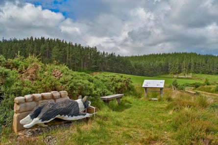 A collie dog carving looks out over Scottish woodland and hills.