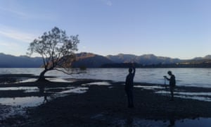 #thatwanakatree being photographed at sunset