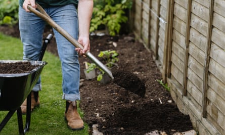 Create new borders using the no-dig method