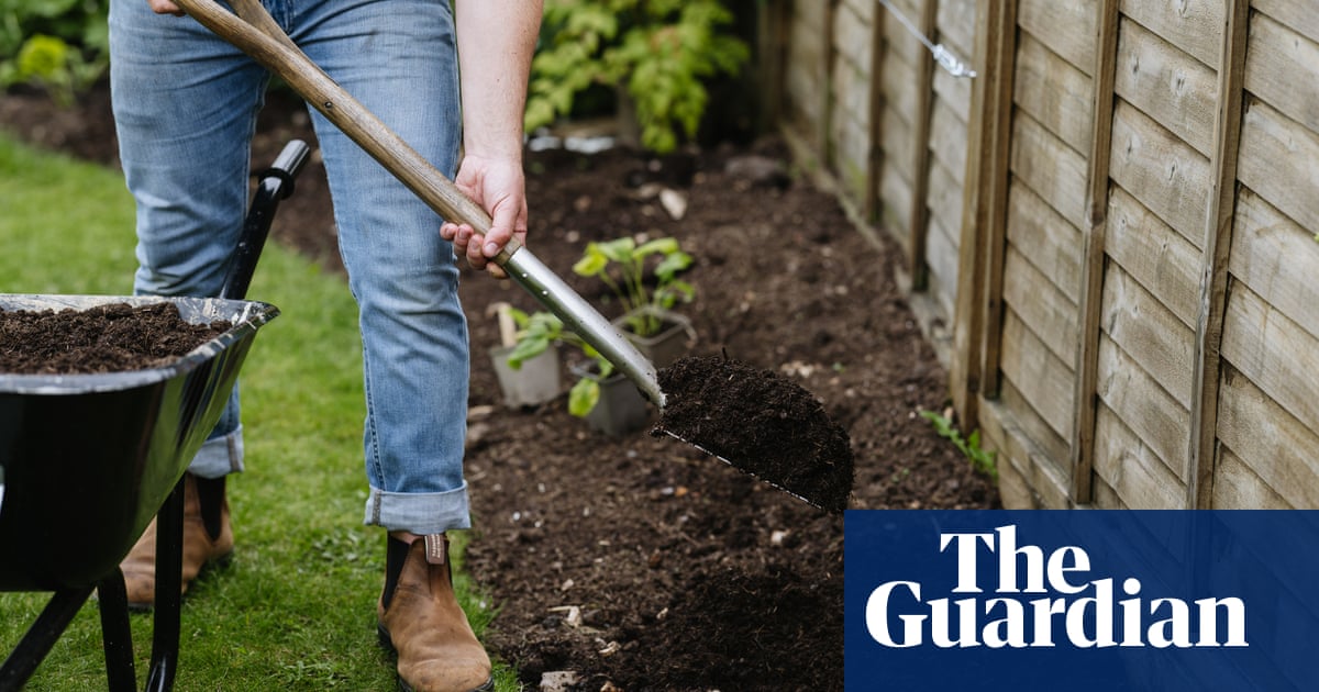 ‘Get rid of your green waste bin and let leaves rot into the soil,’ says garden expert | Gardens