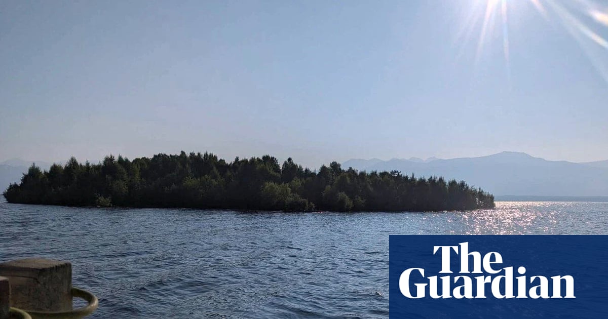 Peekaboo island: the floating forest confounding nature watchers in western Canada