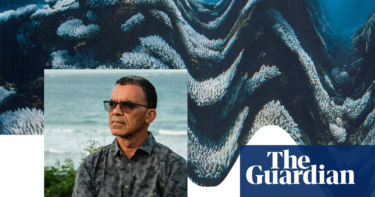 It's death by a thousand cuts': marine ecologist on the collapse of coral reefs