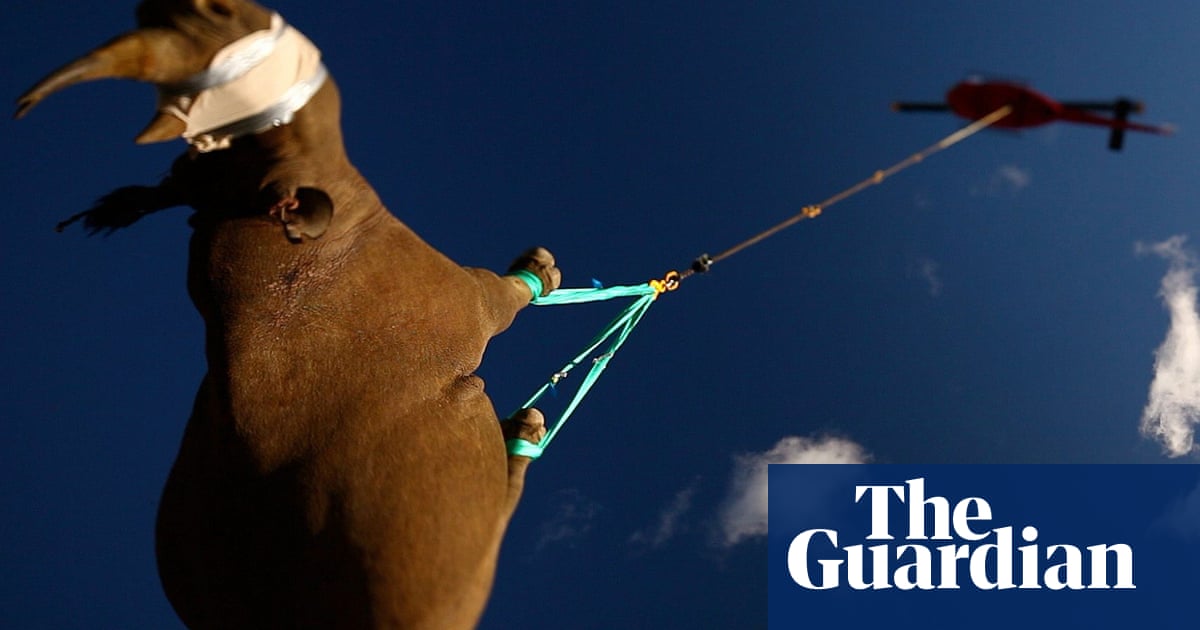 Upside down rhinos and nose-clearing orgasm studies win Ig Nobel prize