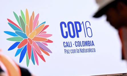Cop16 logo