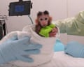 Gloved hands hold a wrapped baby monkey with a green cloth toy near medical equipment