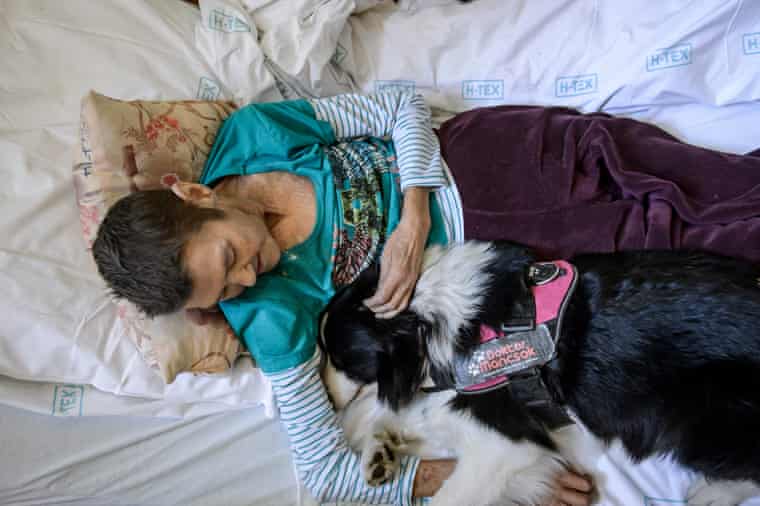 woman in hospital caresses a therapy dog