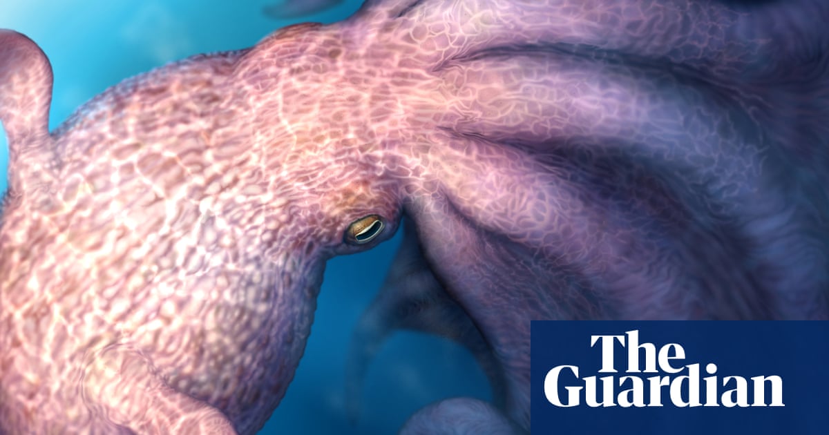 ‘Kraken-like’ giant octopuses 100m years ago crunched bones of prey