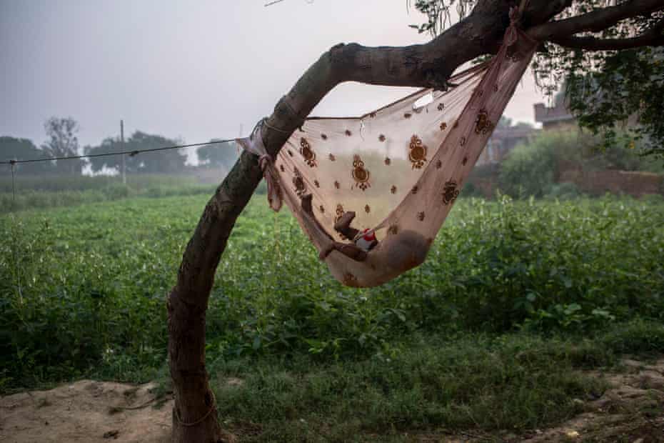 Baby sleeps in a hammock in the village of Peepli Kheera, in front of one of the fields used for defecation