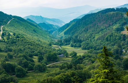 Lembah berhutan dan gunung jauh.