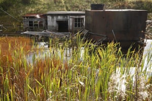 Overgrown concrete huts