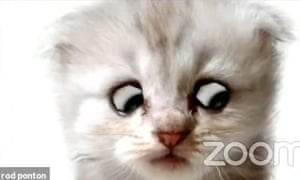 Texas Lawyer Trapped By Cat Filter On Zoom Call Informs Judge He Is Not A Cat Texas The Guardian Texas Lawyer Trapped By Cat Filter On Zoom Call Informs Judge He Is Not A Cat Texas The Guardian
