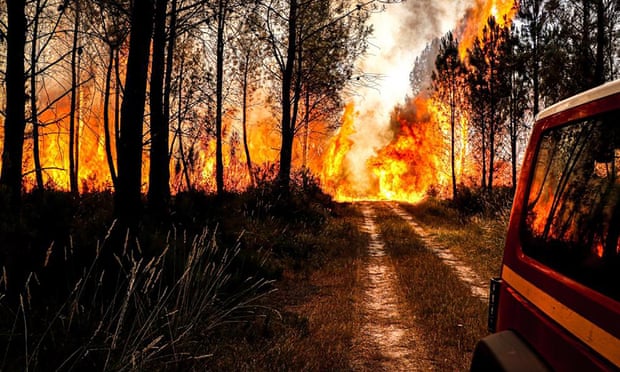 A wildfire near Landiras, south-western France.