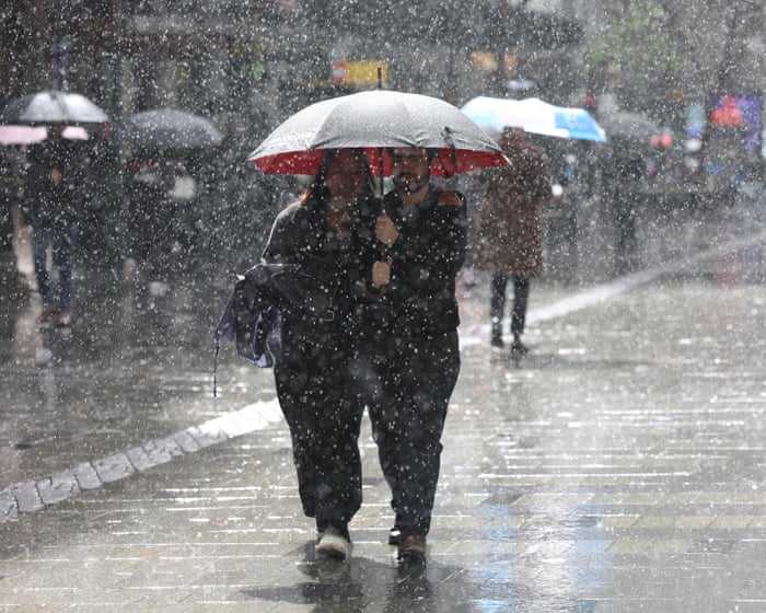 NSW daily rainfall could ‘nudge triple figures’ with wet weather forecast to intensify
