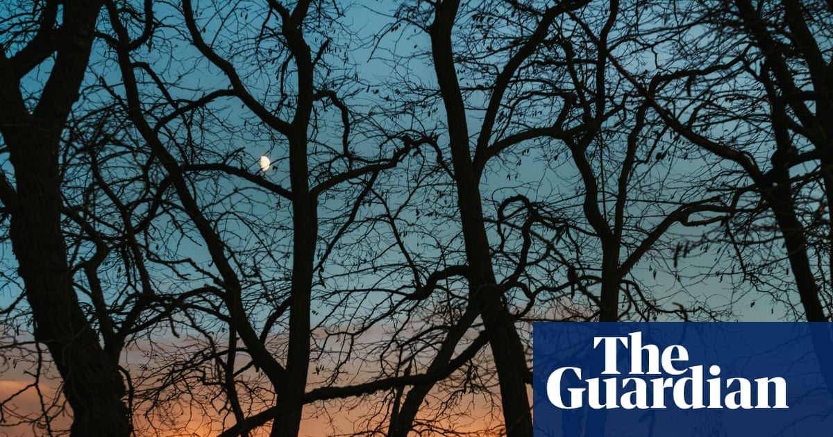 ‘There is a crack in everything’: capturing the dark of winter – in pictures