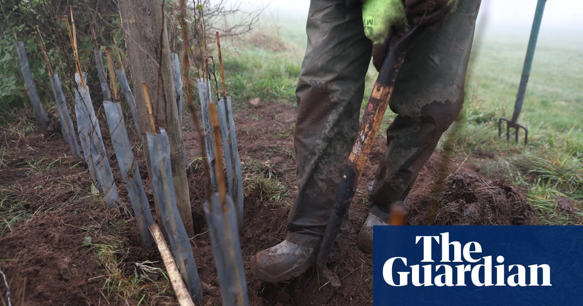 Farmers urge UK government to fund hedge creation to bolster biodiversity