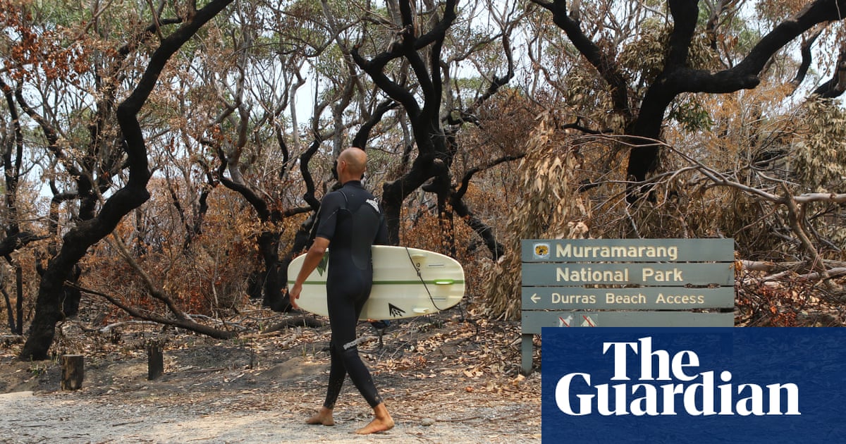 Tourism After The Bushfires The Whole Area Is Screaming For