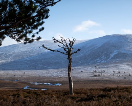 The Kinrara Estate which Oxygen Conservation. bought from BrewDog.