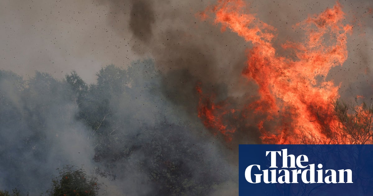 Spain wildfires are ‘clear warning’ of climate emergency, minister says | Spain Spain wildfires are ‘clear warning’ of climate emergency, minister says | Spain