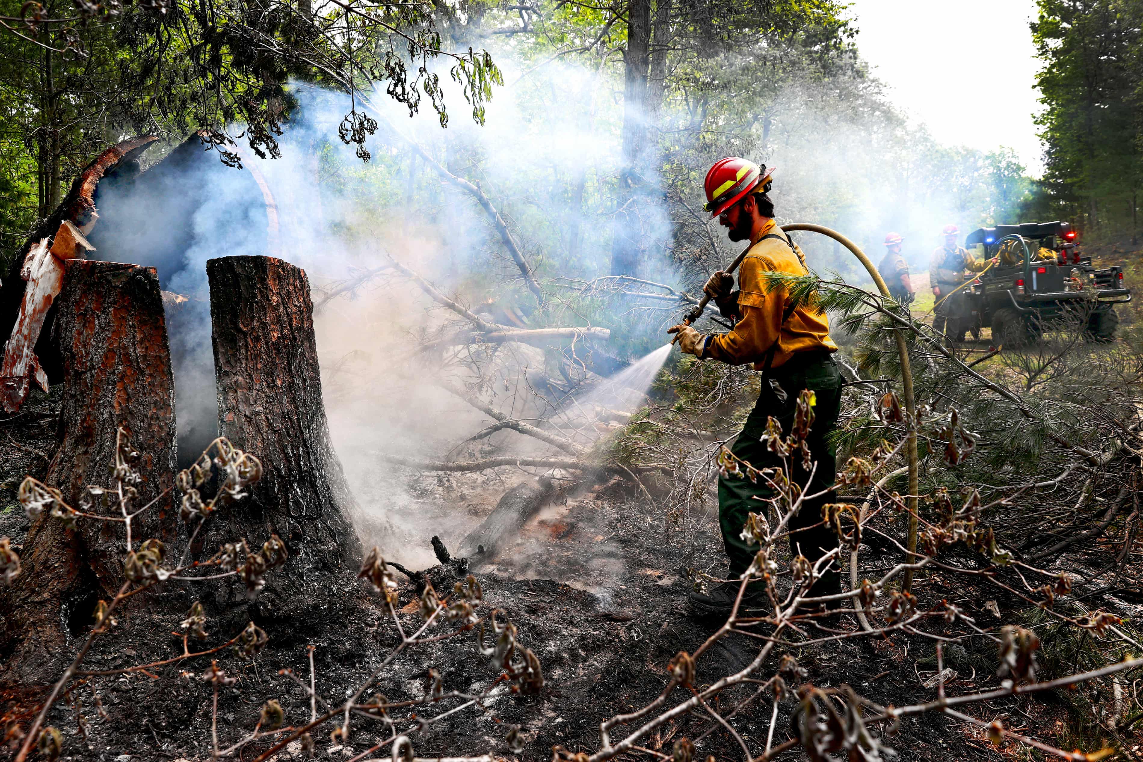 Two states become first in US to ban use of PFAS in firefighters’ protective gear (theguardian.com)