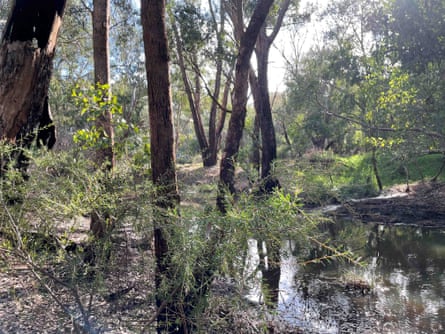 The Helena River, near the site of a proposed datacentre in Hazelmere, WA