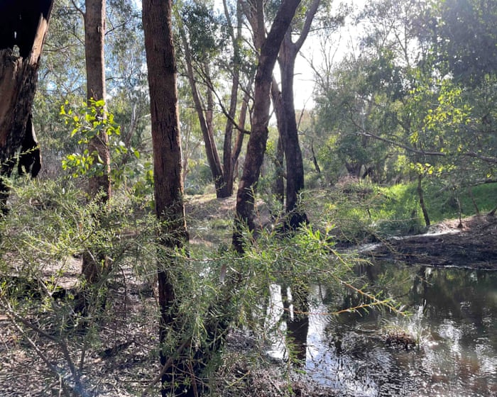 Developer withdraws plans for Perth datacentre after fierce community opposition Developer withdraws plans for Perth datacentre after fierce community opposition