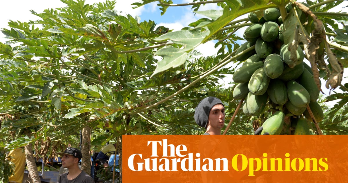 There are many ways to spend your gap year that will reward you later | Vivienne Pearson