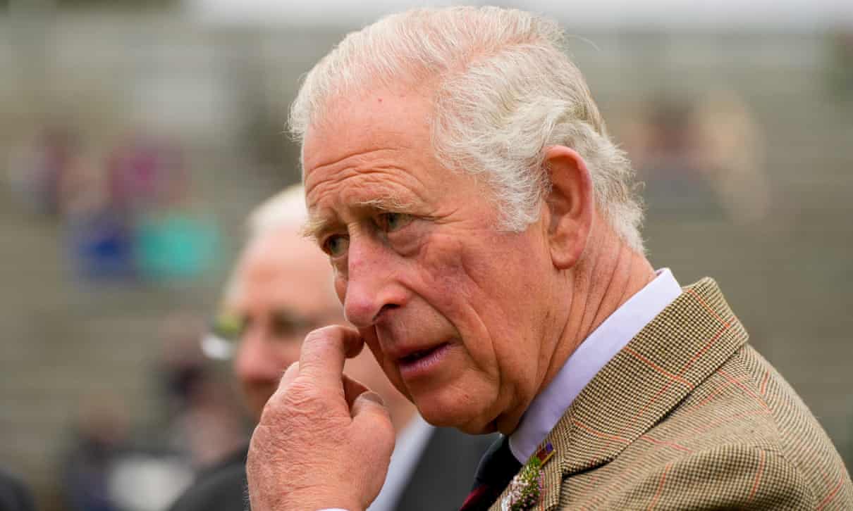 UK, Prince Charles, charities, monarchy, voluntary sector, Harbouchanews