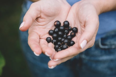 Young woman holding blackcurrants