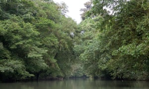 A tributary to the river San Juan in the rain forest biosphere reservation of Indio Maiz, Nicaragua.