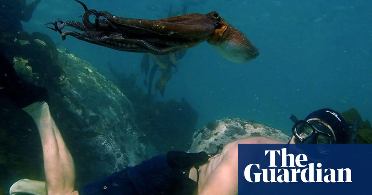 My octopus eater: critics say plans for farm are unethical and unsustainable