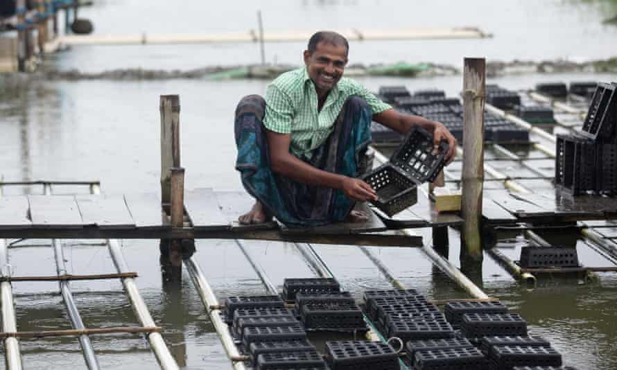 Shayma Kanta Mistri has been helped by Practical Action to start a crab farm.