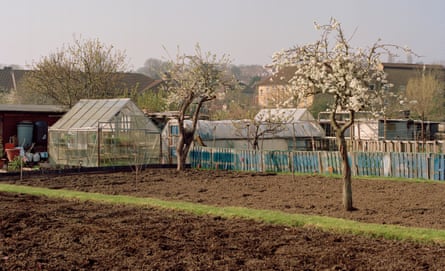 The Colindale allotments in London, where Lea Adri-Soejoko was murdered.