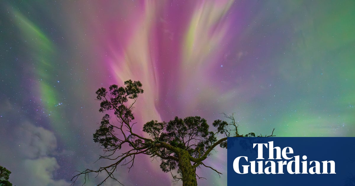 Moon mountains and star dust: David Malin astrophotography awards 2026 – in pictures