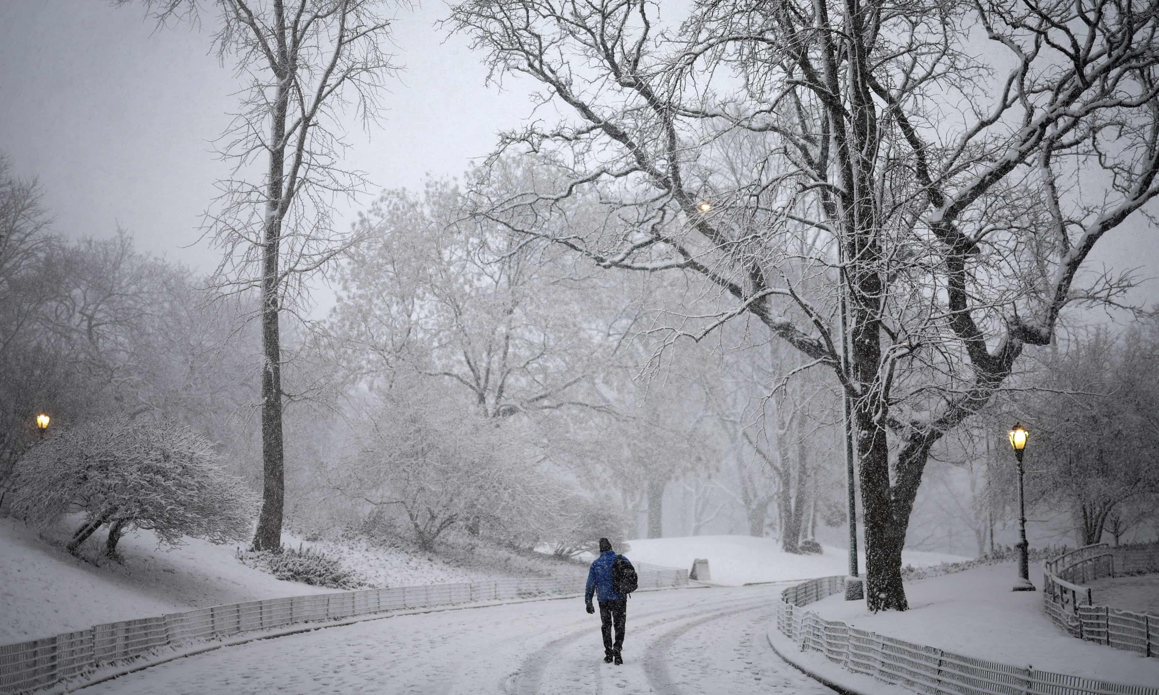Snow from nor’easter storm leads to canceled flights in north-eastern US (theguardian.com)