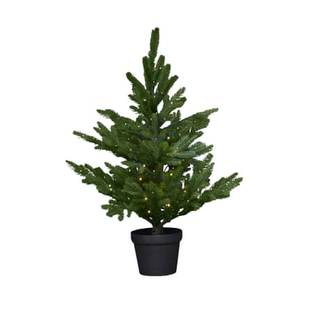 Atkin & Thyme Nordmann Fir Pre-lit Potted Tree
