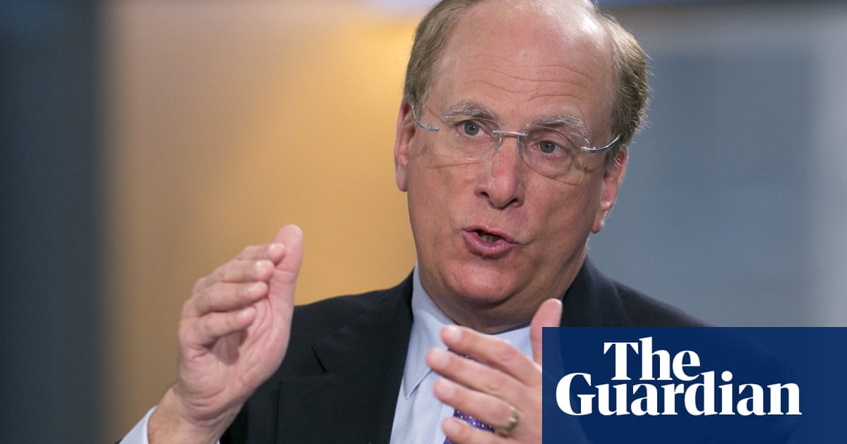 BlackRock’s Larry Fink: climate policies are about profits, not being ‘woke’